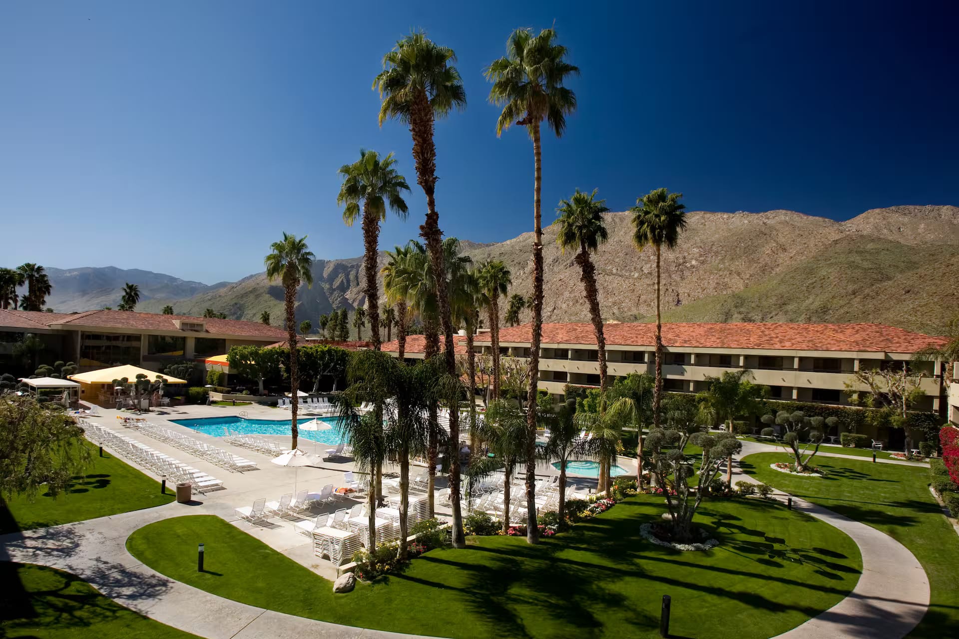 Palm trees, pool courtyard and mountain view at Hilton Palm Springs